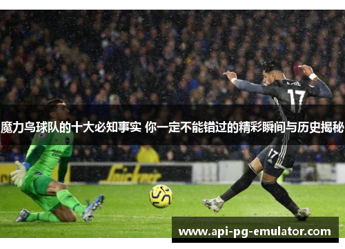 魔力鸟球队的十大必知事实 你一定不能错过的精彩瞬间与历史揭秘