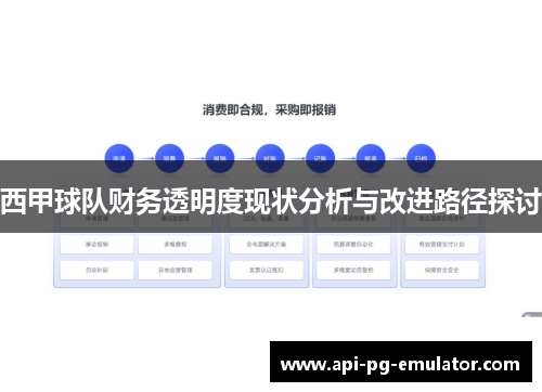 西甲球队财务透明度现状分析与改进路径探讨