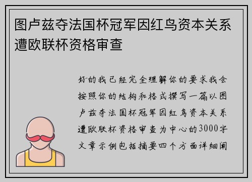 图卢兹夺法国杯冠军因红鸟资本关系遭欧联杯资格审查 图卢兹夺法国杯冠军因红鸟资本关系遭欧联杯资格审查